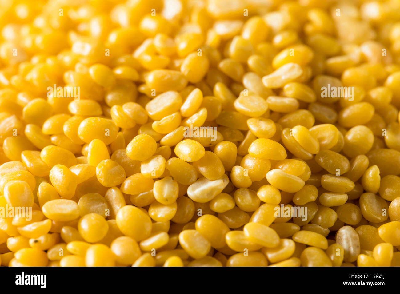 Organico essiccato Moong Dal Split Mung Bean in una ciotola Foto Stock