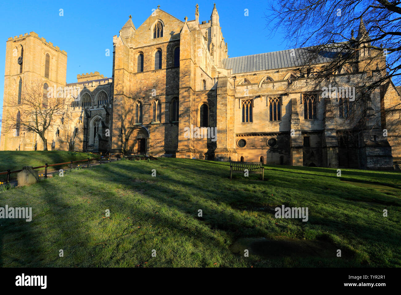 Fiori di Primavera, nella cattedrale di Ripon; Ripon città; North Yorkshire; Inghilterra; Regno Unito Foto Stock