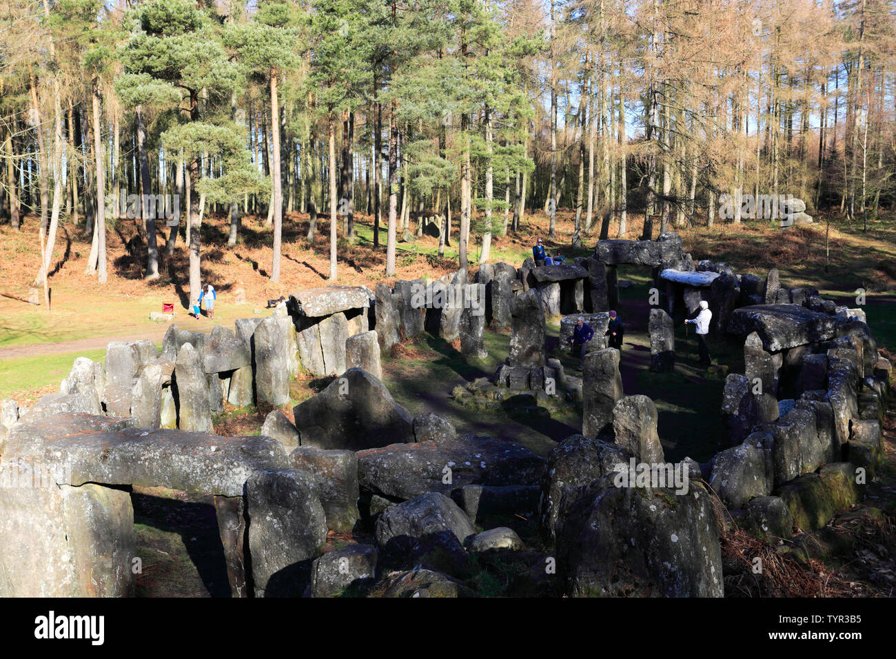 I Druidi Tempio follia nei pressi del villaggio di Ilton, Masham town, North Yorkshire County, Inghilterra Foto Stock