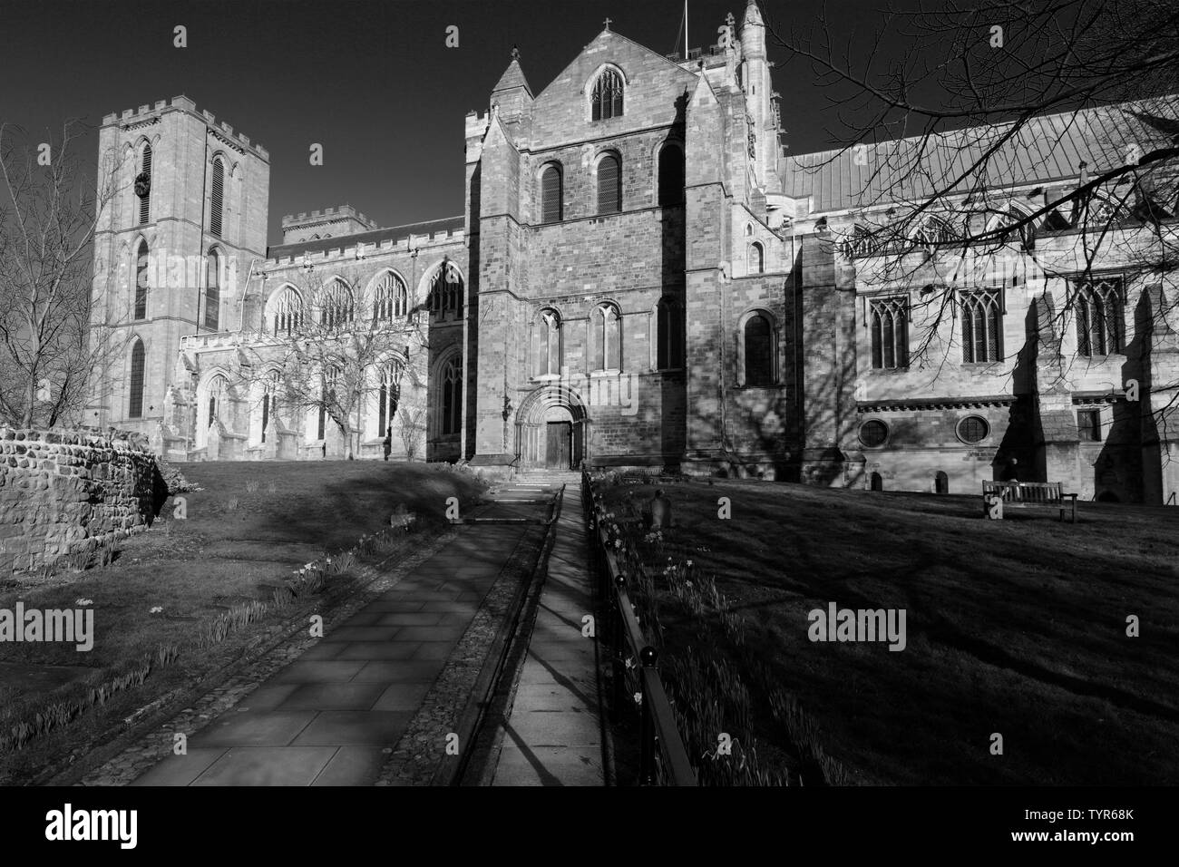 Fiori di Primavera, nella cattedrale di Ripon; Ripon città; North Yorkshire; Inghilterra; Regno Unito Foto Stock