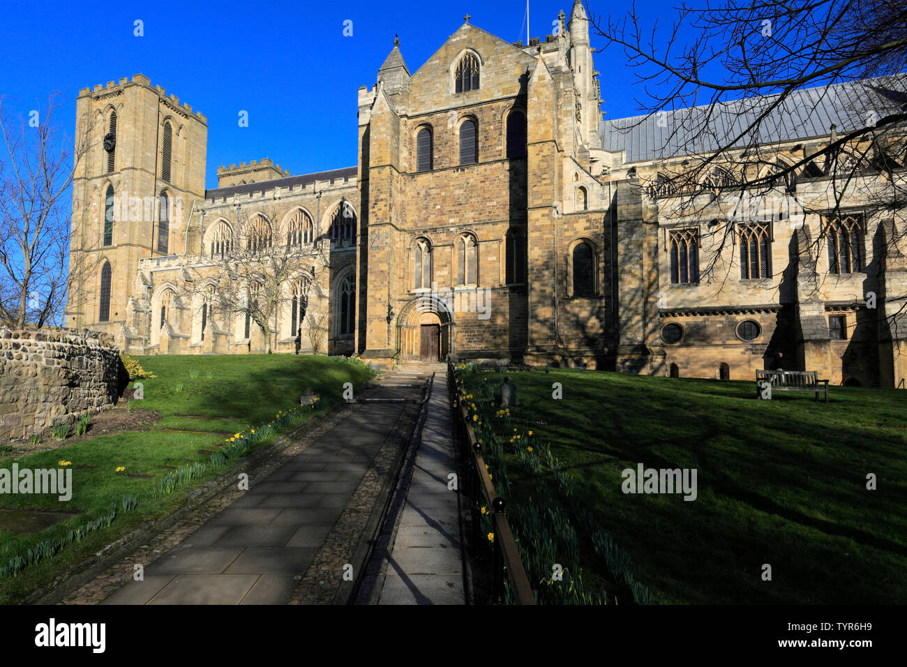Fiori di Primavera, nella cattedrale di Ripon; Ripon città; North Yorkshire; Inghilterra; Regno Unito Foto Stock