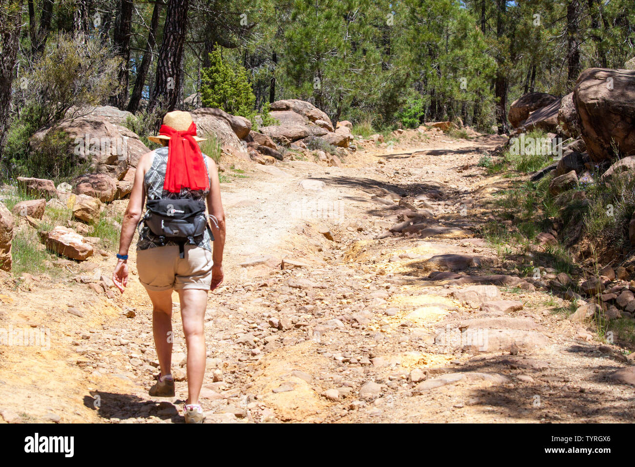Donna che cammina lungo la spagnola a lunga distanza sentiero GR10 sulle colline intorno a Albarracin Aragona Spagna Foto Stock
