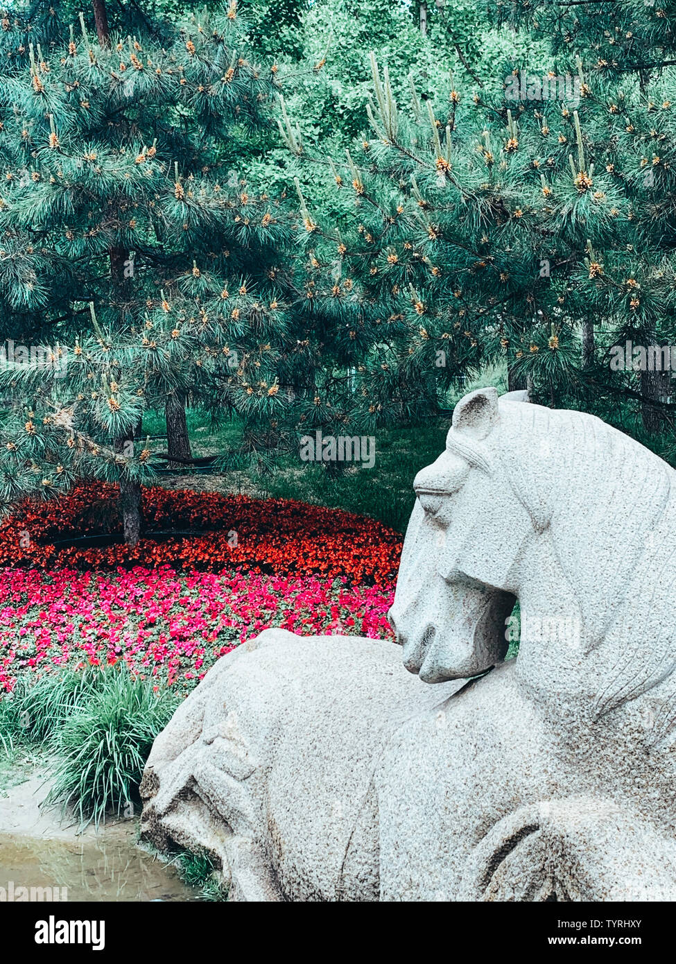 Sito di Jinzhong Park è dominato da Liaojin sculture. È pieno di molte varietà di crisantemo selvatico in primavera. Essa è particolarmente bello. Vale la pena di venire a vedere. Foto Stock