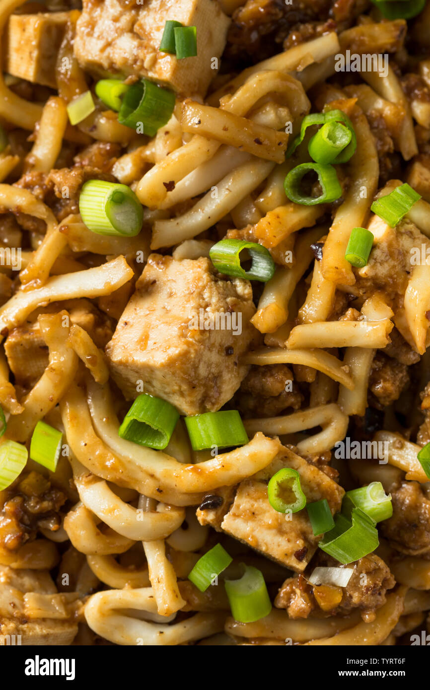 In casa giapponese Mapo Tofu Udon Noodles ciotola Foto Stock