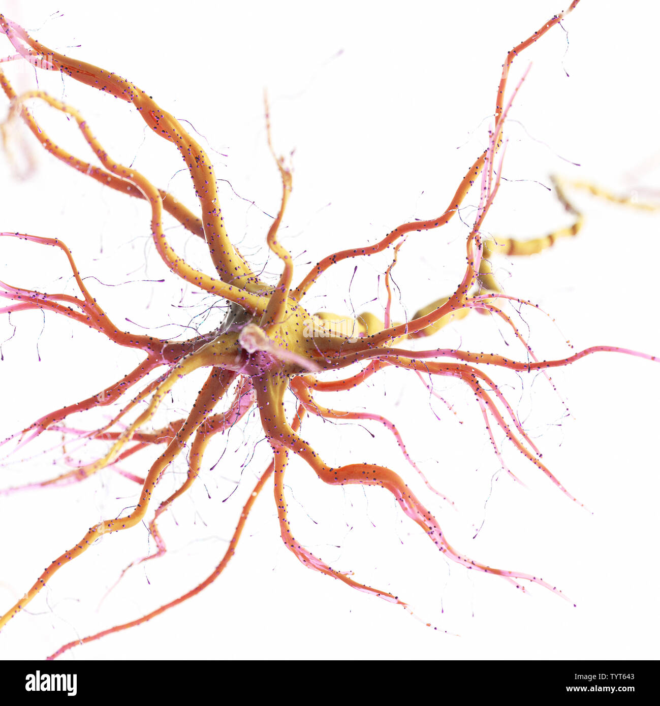 3d reso illustrazione di un essere umano delle cellule nervose Foto Stock