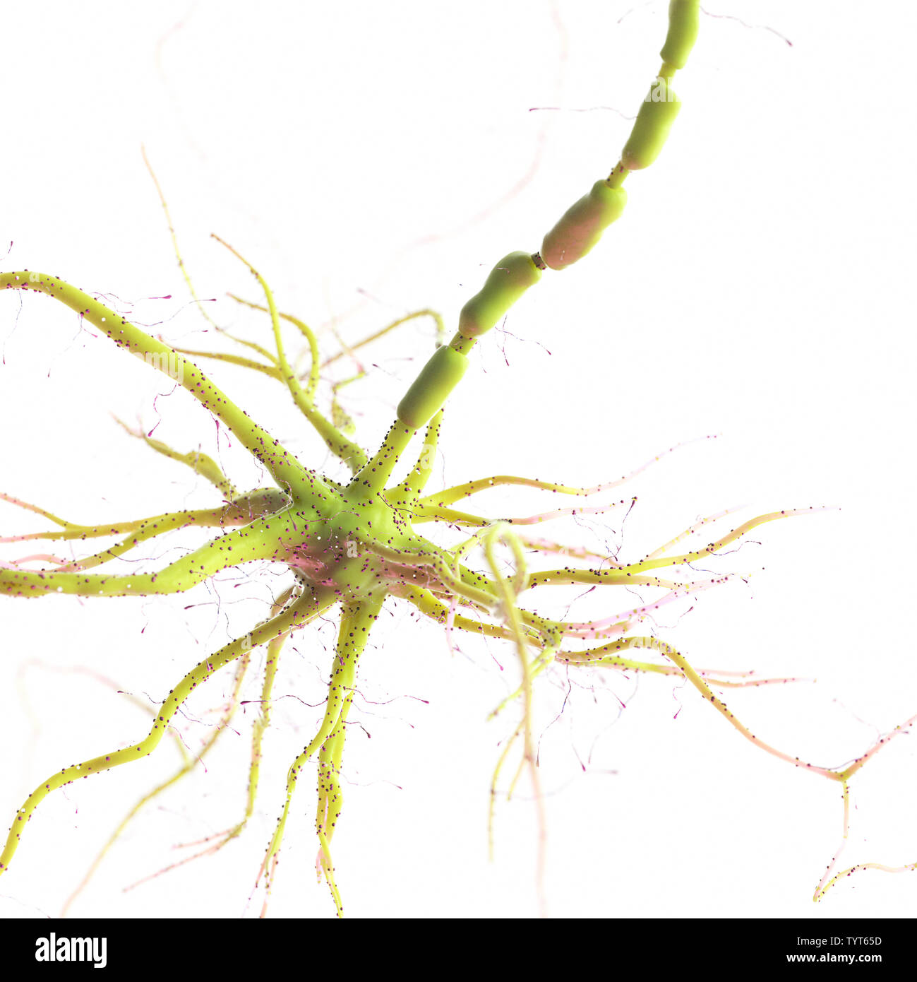 3d reso illustrazione di un essere umano delle cellule nervose Foto Stock