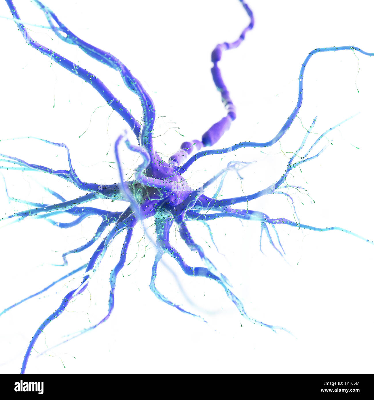 3d reso illustrazione di un essere umano delle cellule nervose Foto Stock