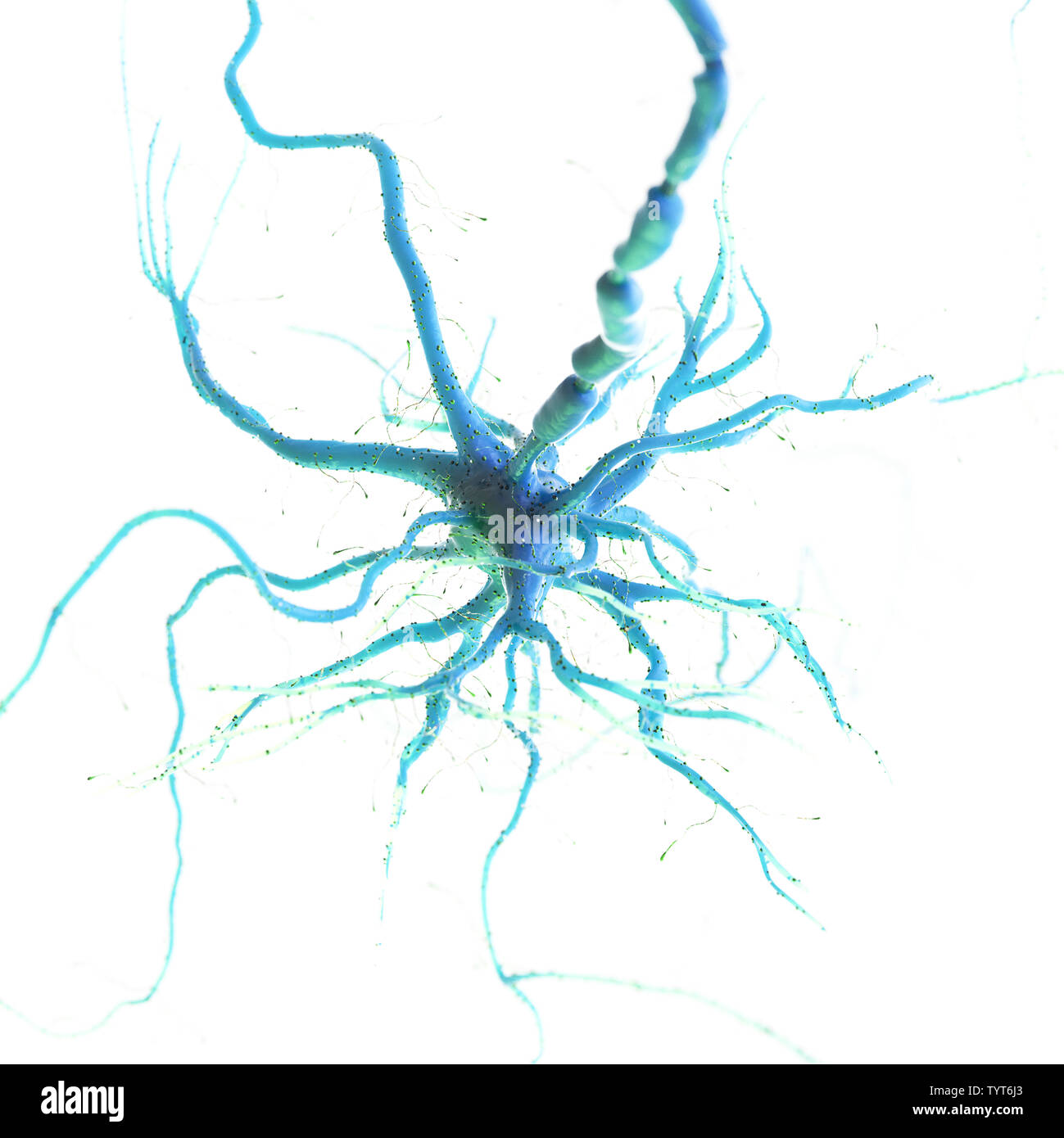 3d reso illustrazione di un essere umano delle cellule nervose Foto Stock