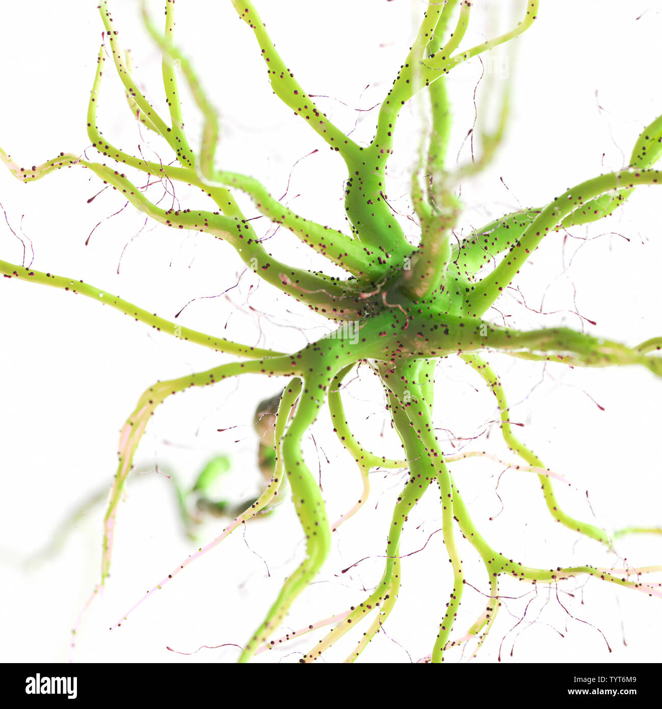 3d reso illustrazione di un essere umano delle cellule nervose Foto Stock