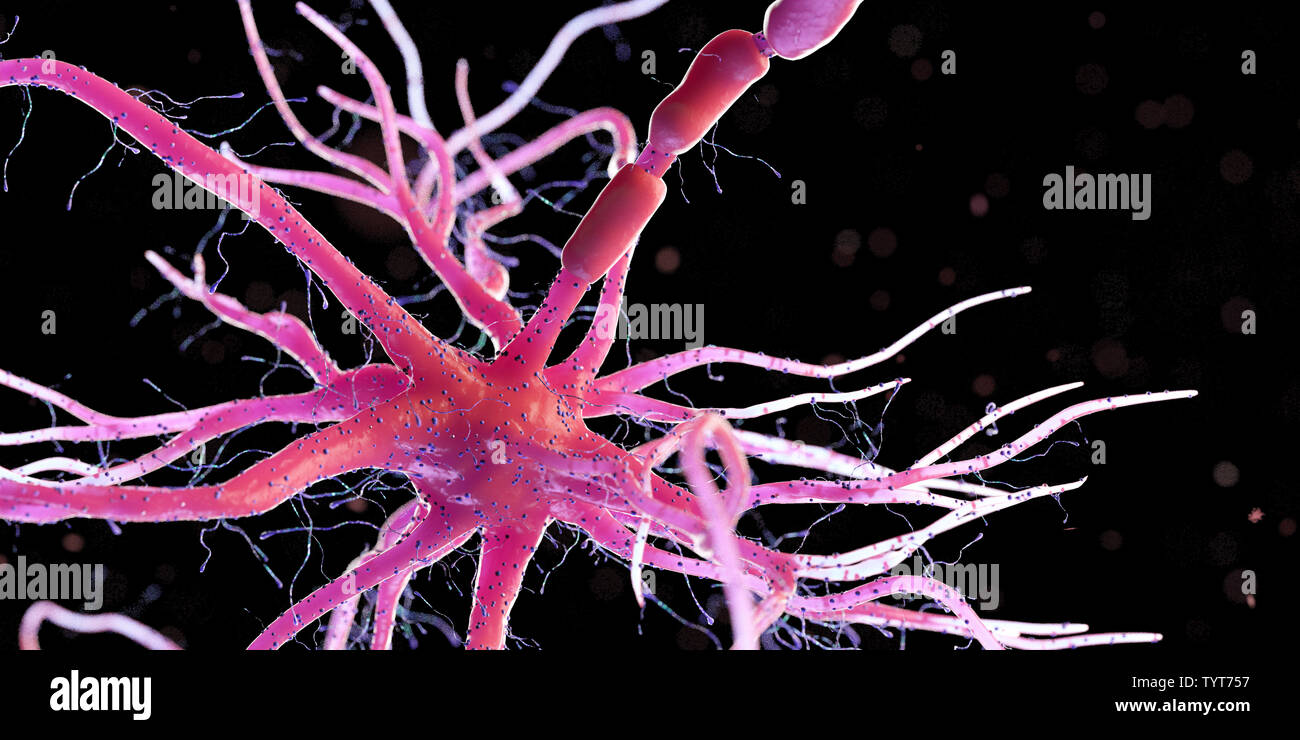 3d reso illustrazione di un essere umano delle cellule nervose Foto Stock