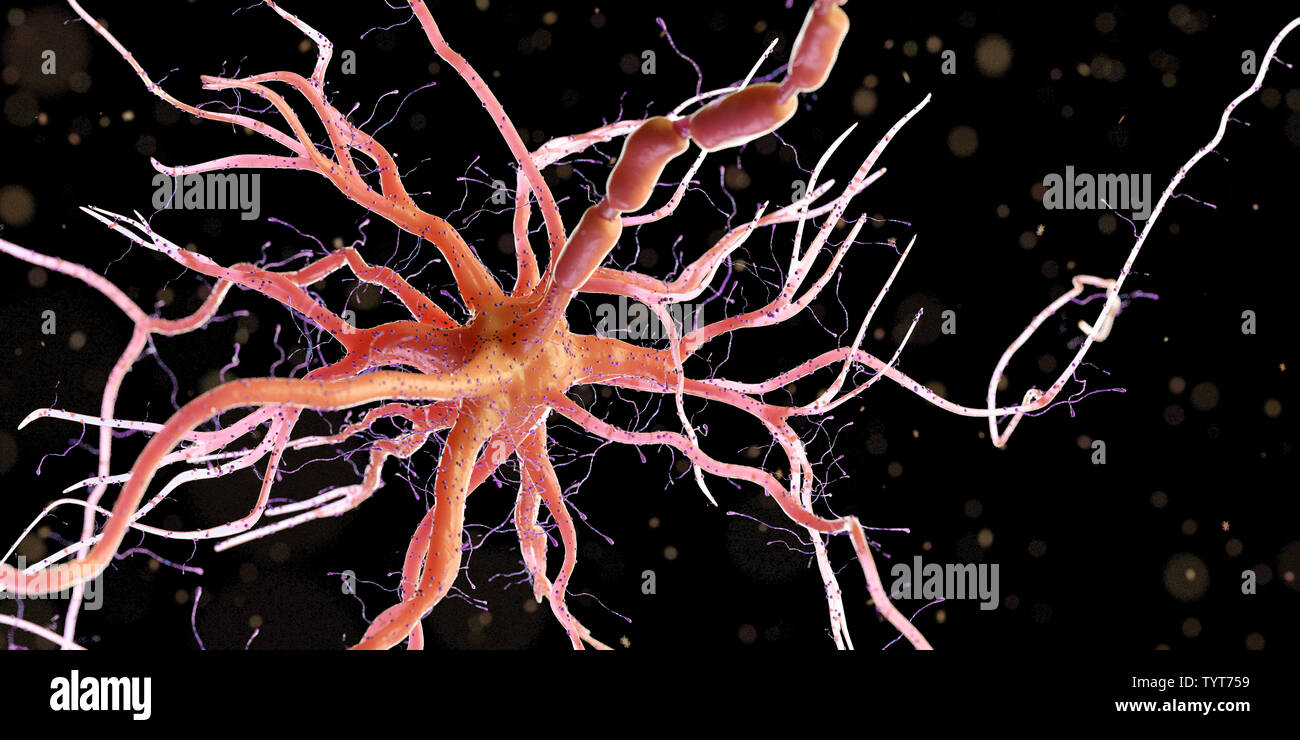 3d reso illustrazione di un essere umano delle cellule nervose Foto Stock