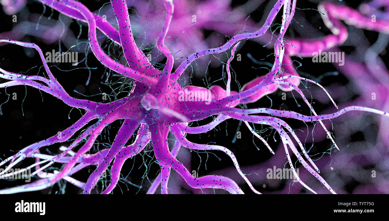 3d reso illustrazione di un essere umano delle cellule nervose Foto Stock