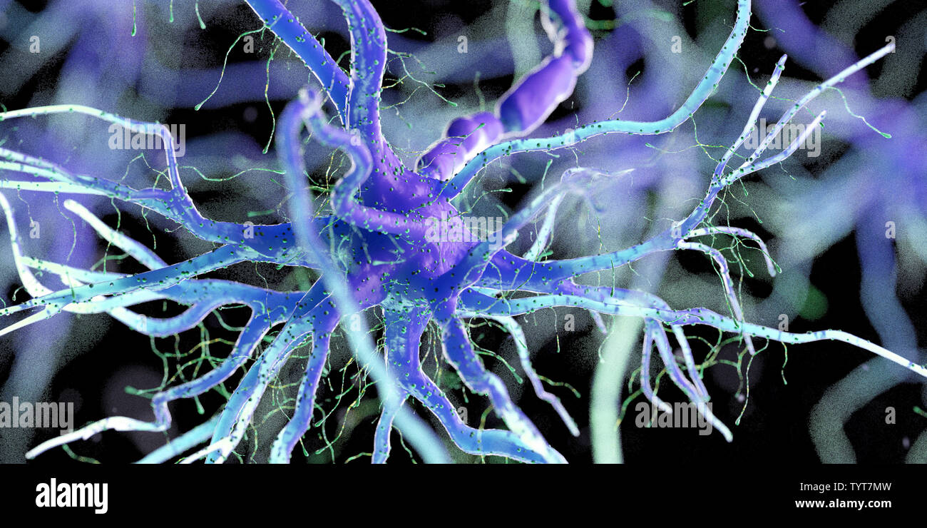 3d reso illustrazione di un essere umano delle cellule nervose Foto Stock