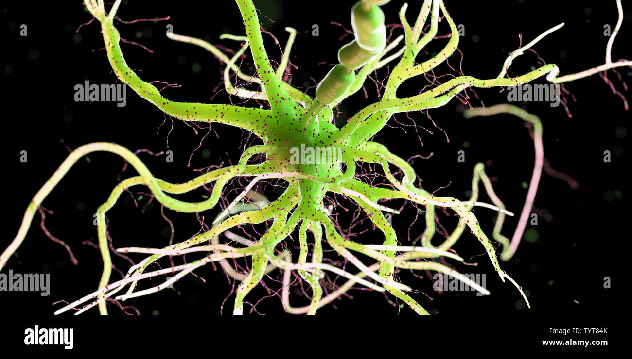 3d reso illustrazione di un essere umano delle cellule nervose Foto Stock