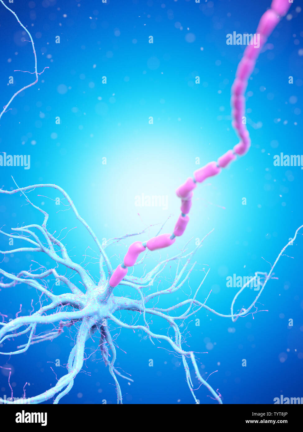 3d reso illustrazione di un essere umano delle cellule nervose Foto Stock