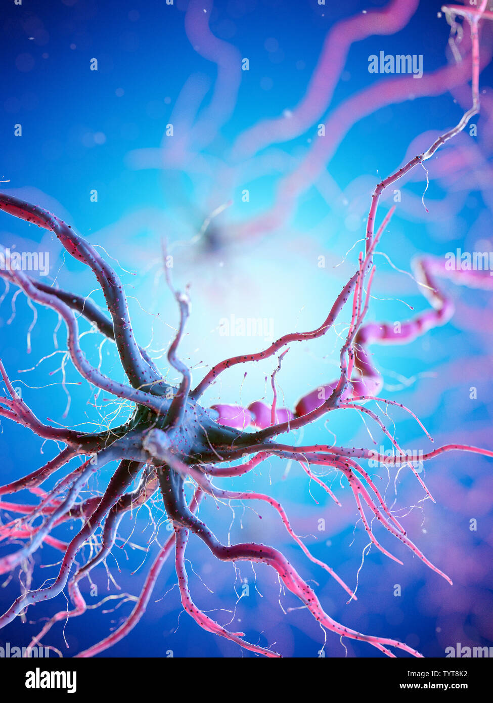 3d reso illustrazione di un essere umano delle cellule nervose Foto Stock