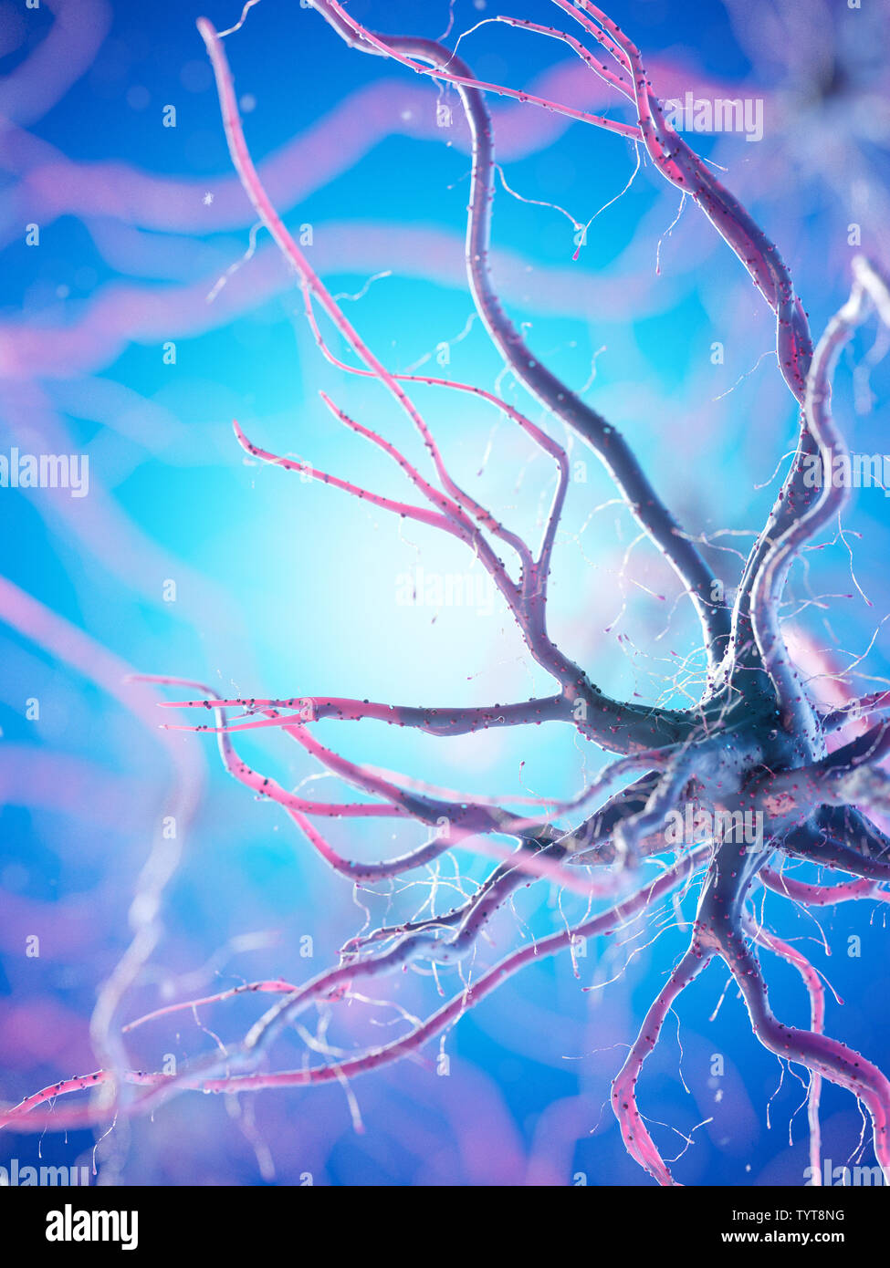 3d reso illustrazione di un essere umano delle cellule nervose Foto Stock