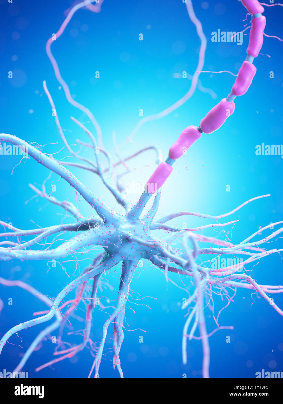3d reso illustrazione di un essere umano delle cellule nervose Foto Stock