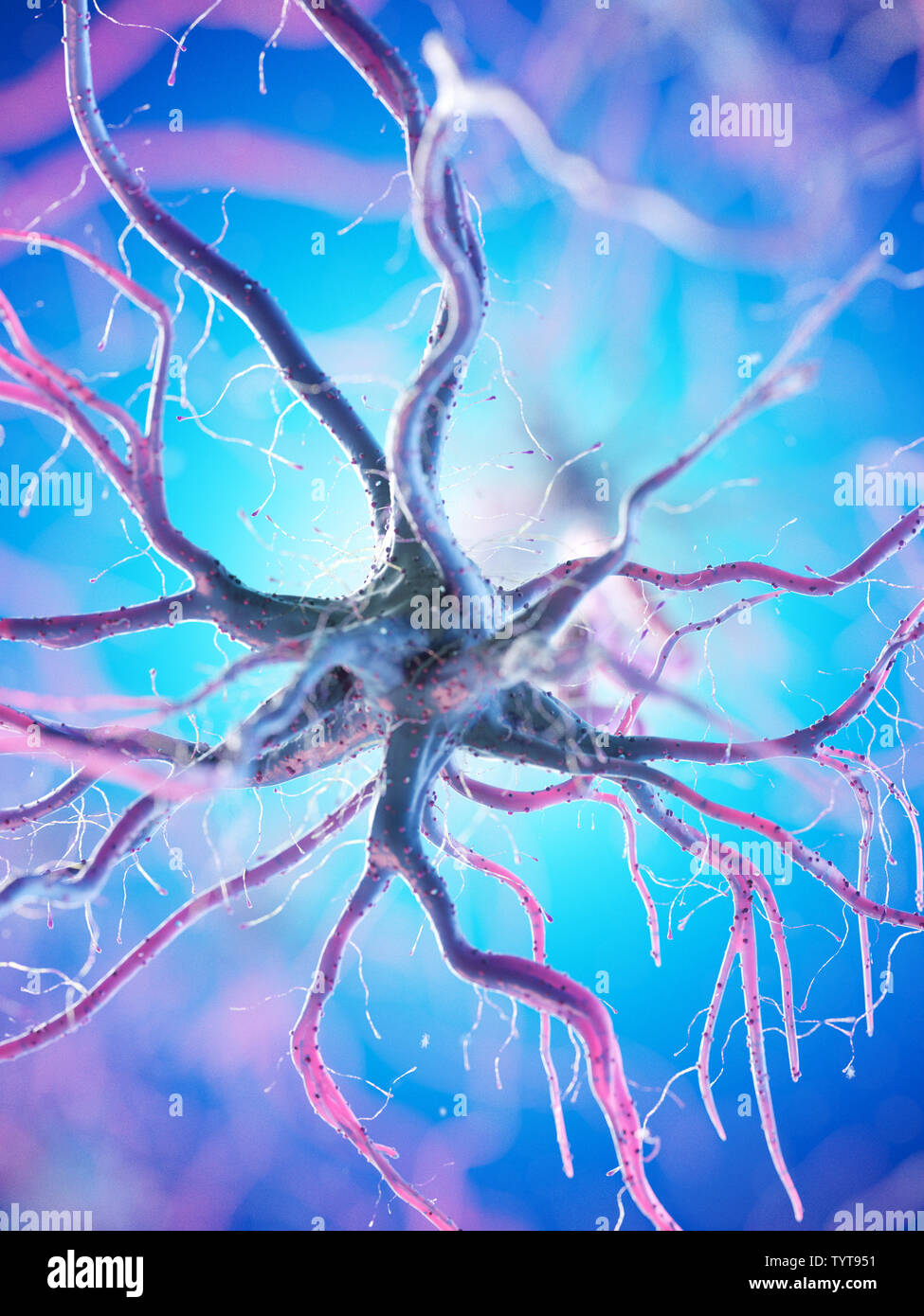 3d reso illustrazione di un essere umano delle cellule nervose Foto Stock