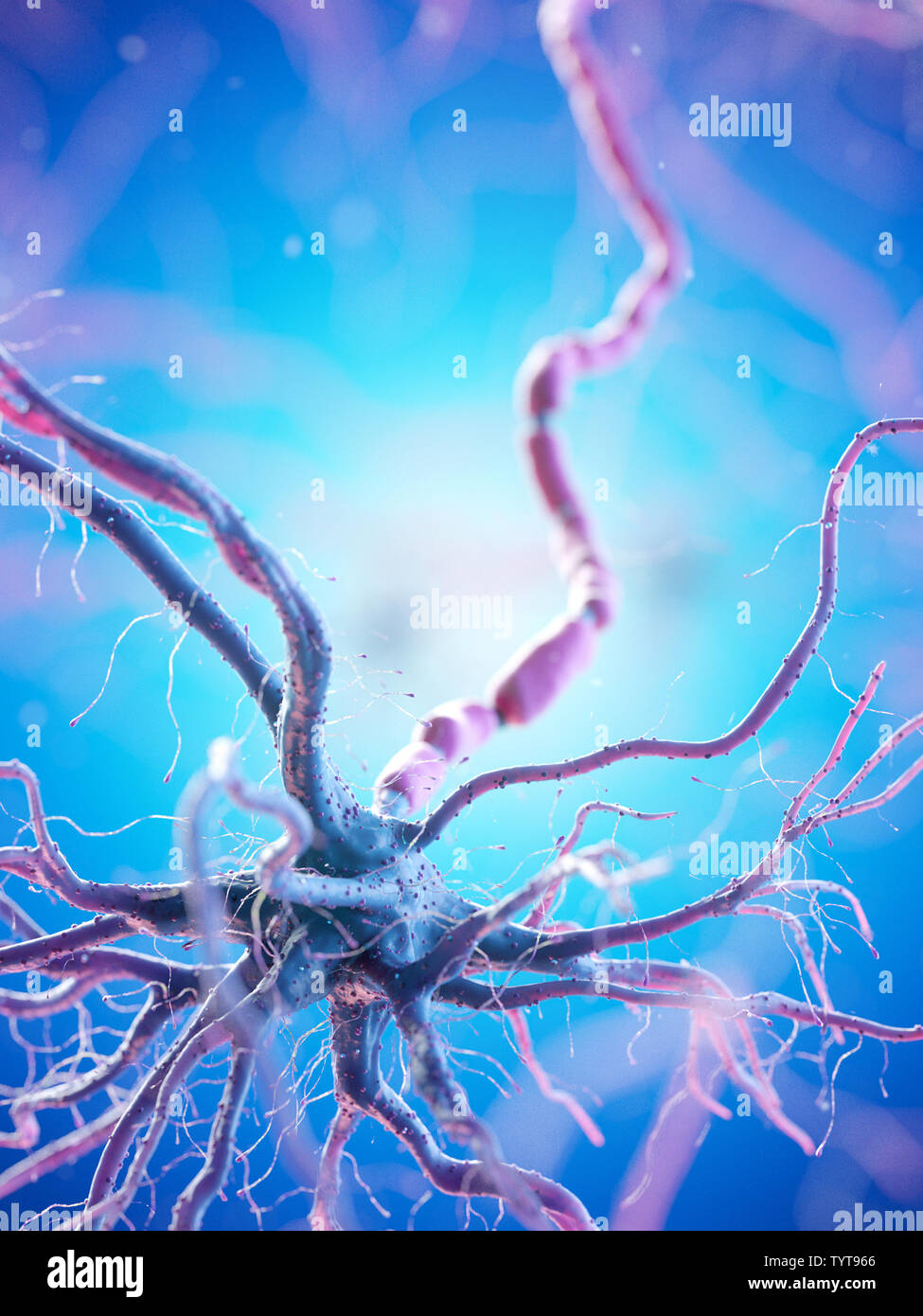 3d reso illustrazione di un essere umano delle cellule nervose Foto Stock