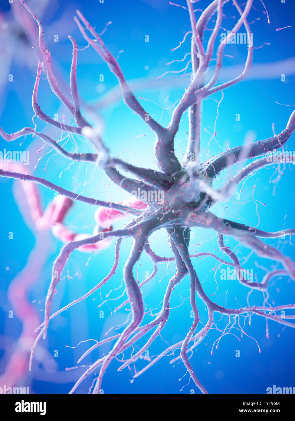 3d reso illustrazione di un essere umano delle cellule nervose Foto Stock