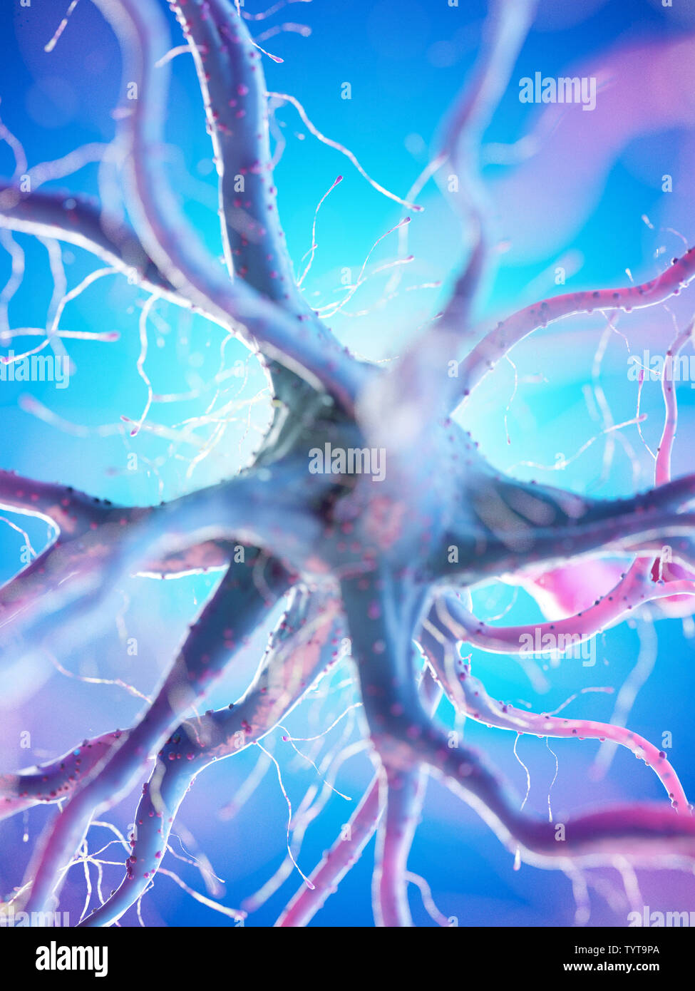 3d reso illustrazione di un essere umano delle cellule nervose Foto Stock