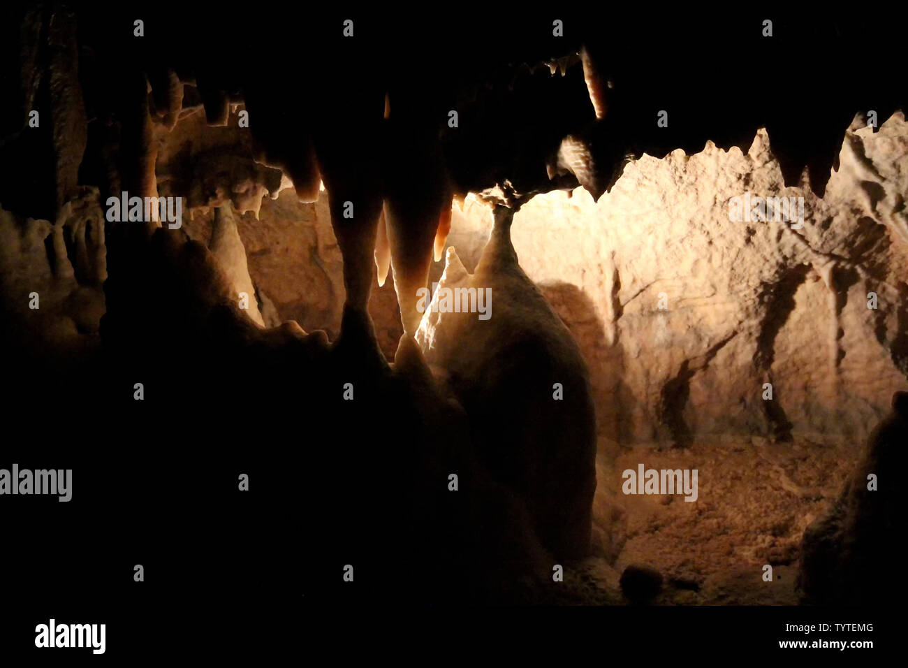 La formazione di pietra nelle Grotte di Postumia, Sloveno- Postojnska jama è una lunga grotta carsica sistema vicino a Postojna in Slovenia. Foto Stock