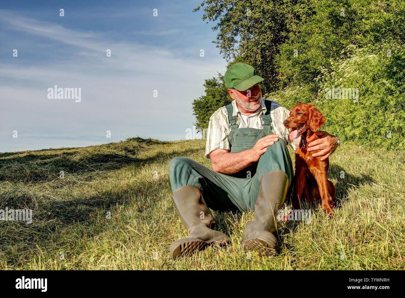Il vecchio cacciatore con salopette da e stivali di gomma si siede sul pascolo rasata in serata sole e amorevolmente tiene il suo piccolo Setter Irlandese cucciolo nel suo braccio. Foto Stock