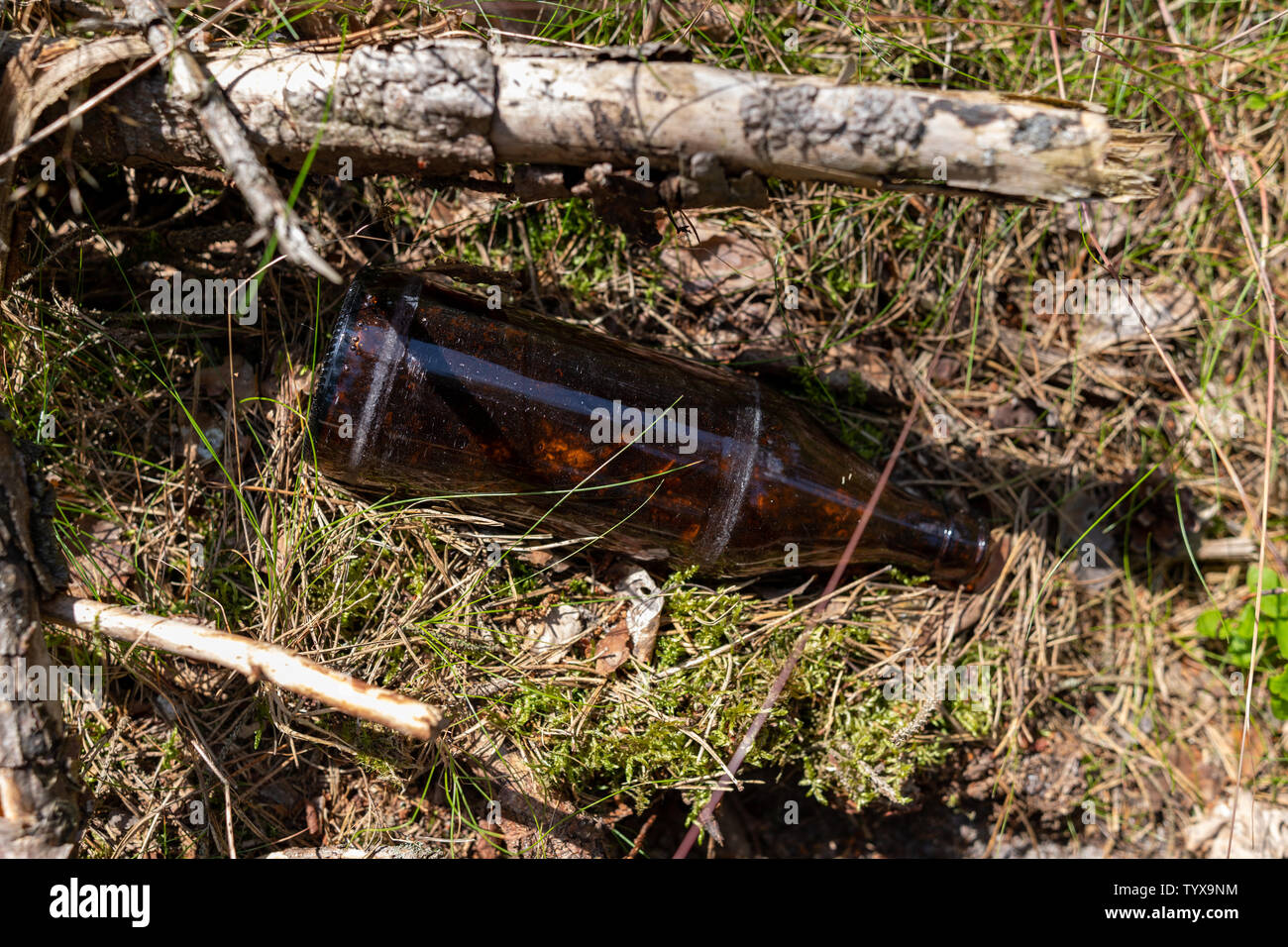 Bottiglia di vetro che giace sulla lettiera forestale come un pericolo di incendio. Garbage lasciato da un uomo nella foresta. Stagione di estate. Foto Stock