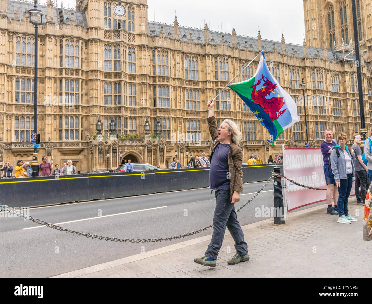 London / UK - 26 Giugno 2019 - Pro-UE protester porta del Galles e Unione europea bandiere al di fuori del parlamento di Westminster Foto Stock