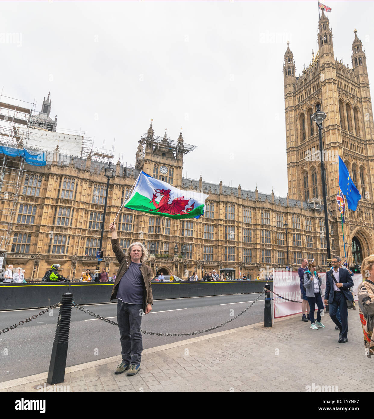 London / UK - 26 Giugno 2019 - Pro-UE protester porta del Galles e Unione europea bandiere al di fuori del parlamento di Westminster Foto Stock