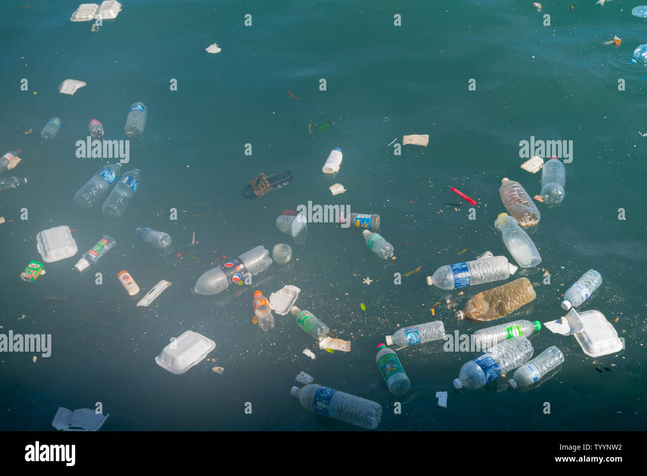 KOTA KINABALU BORNEO - 1 giugno 2019; mare inquinamento, immondizia di plastica smaltiti in porto. Foto Stock