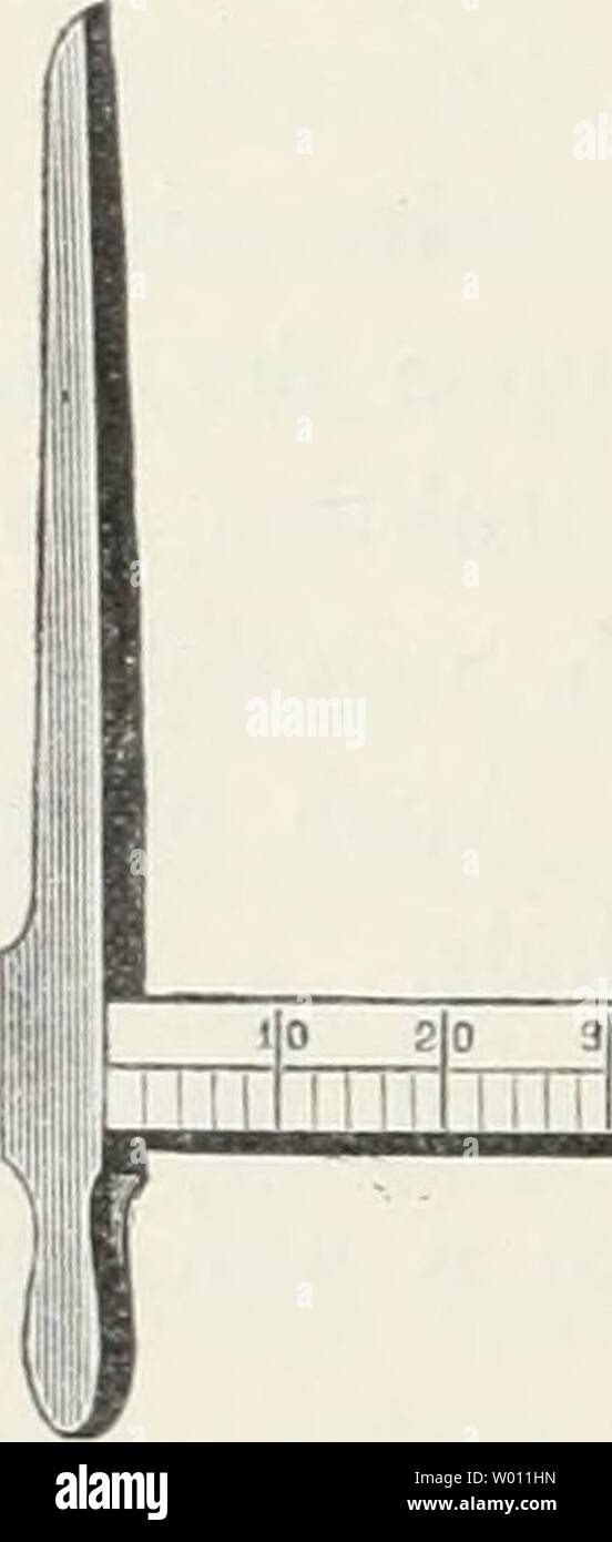 Immagine di archivio da pagina 55 del die Forsteinrichtung; ein Lehr- und. Die Forsteinrichtung; ein Lehr- und Handbuch dieforsteinricht00stoeuoft Anno: 1908 bringt man wohl zum besseren Anpressen beweglichen des Armes eine Feder un. Eine Reihe von Modifikationen ist angegeben worden, durch welche vornehmlich die Erreichung einer parallelen Stellung der Schenkel mit Einhaltung einer senkrechten Richtung derselben zu der Messschiene bezweckt wird. § 22. 2. Klupiieii mit bezw Keil. Schraube. Die Idee, zwischen den beweglichen braccio und die Messschiene einen Keil (Stellkeil) einzufügen, rührt von Smalian Foto Stock