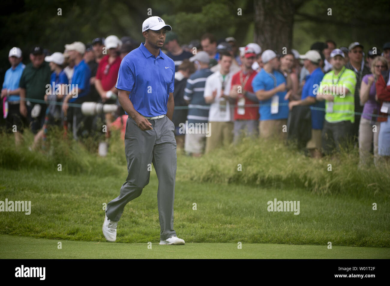 Tiger Woods passeggiate sulla 2° fairway durante il primo round del 113U.S. Campionato Open a Merion Golf Club di Ardmore, Pensilvania il 13 giugno 2013. UPI/Kevin Dietsch Foto Stock
