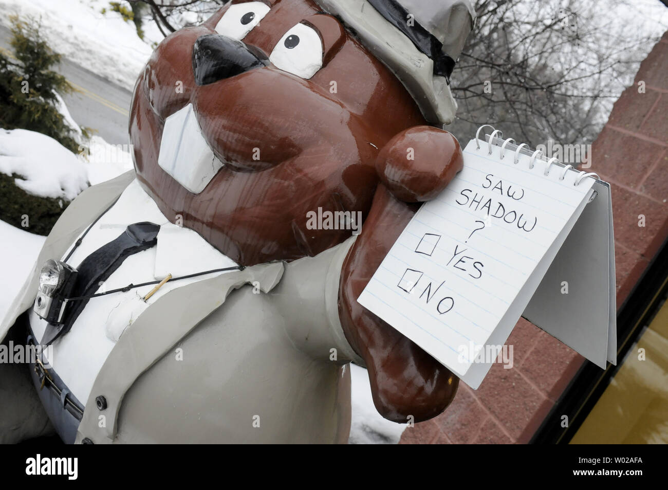 Uno dei 32 fantastiche Phil statue abiti come un reporter saluto ai visitatori del Punxsutawney spirito uffici presso Punxsutawney Pennsylvania, alla vigilia della Festa della mamma il 1 febbraio 2011. UPI/Archie Carpenter Foto Stock