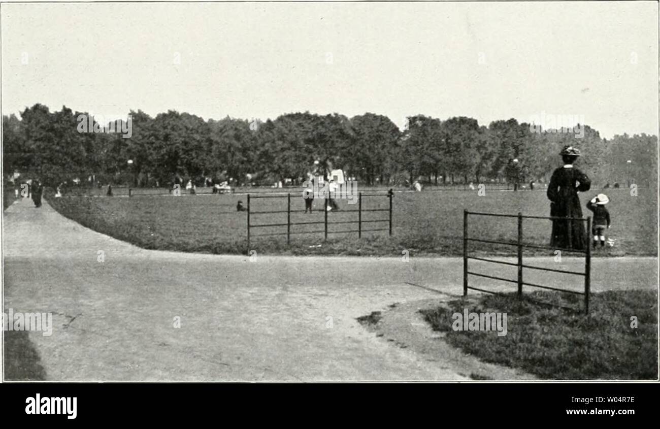 Immagine di archivio da pagina 279 di Die Gartenkunst (1899). Die Gartenkunst diegartenkunst11deut Anno: 1899 Aus dem Hydepark: Wiesen und Bäume. mÖL;lichst viel des Gesehenen im Bilde festzuhalten. Wenn auch bei der hai , Unserer Reise nicht alle Bilder glückten, wenn auch bei manchen die Raum- wirkung nur mangelhaft herauskommt, wenn auch die belebende Farbe der Blumen ihnen völlig fehlt, così geben doch die vielen gelungenen Bilder die einzige Möglichkeit, beschreibende das Wort in modo zu ergänzen, dass man eine einigermaßen wahrheitsgetreue Vor- stellung des Gesehenen erhält. Inoltre Zuerst führte unser W Foto Stock