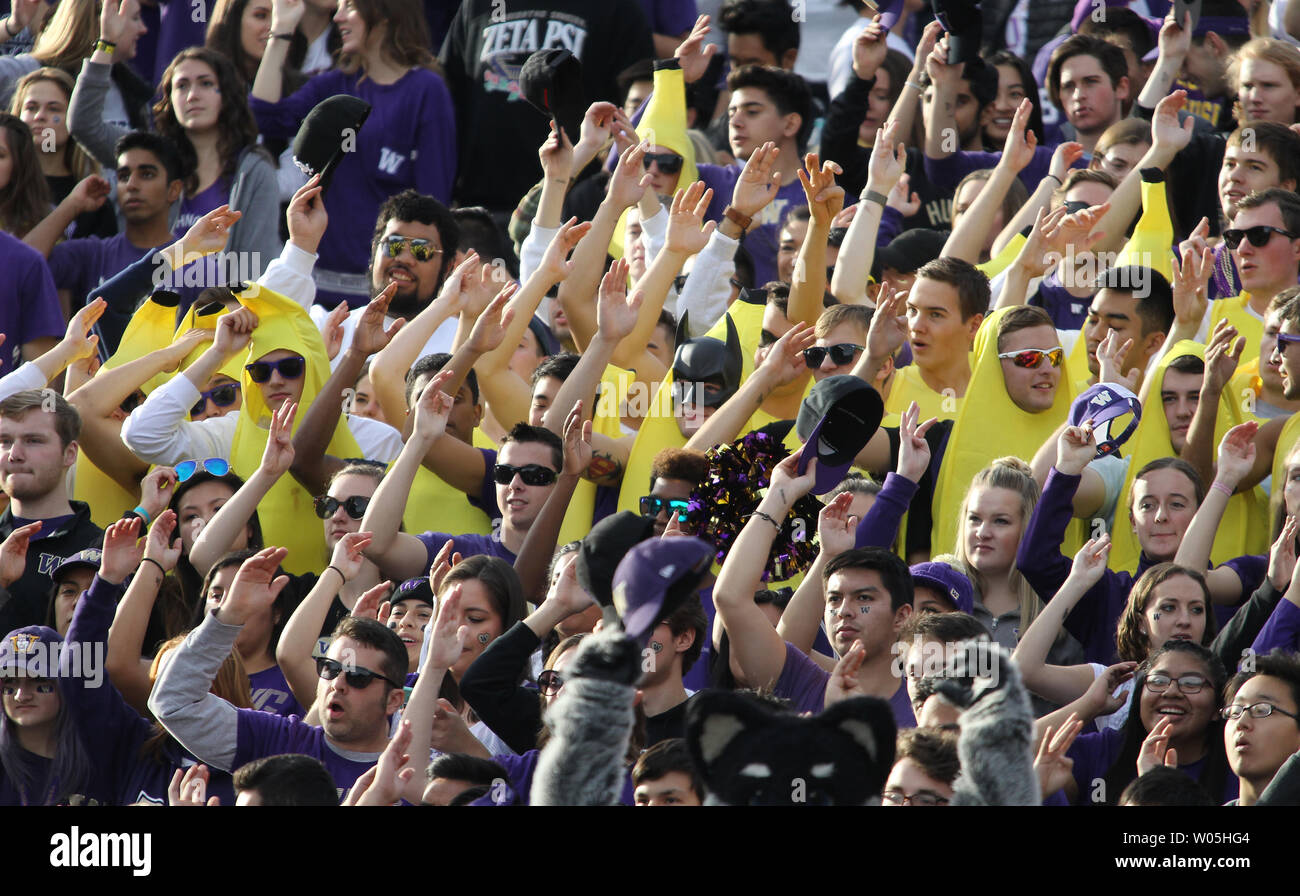 Un gruppo di appassionati di Husky vestite come le banane allegria durante il kickoff di apertura alla Oregon State castori nel primo trimestre presso Husky Stadium Ottobre 22, 2016 a Seattle. Il Huskies battere i castori 41-17. Foto di Jim Bryant/UPI Foto Stock