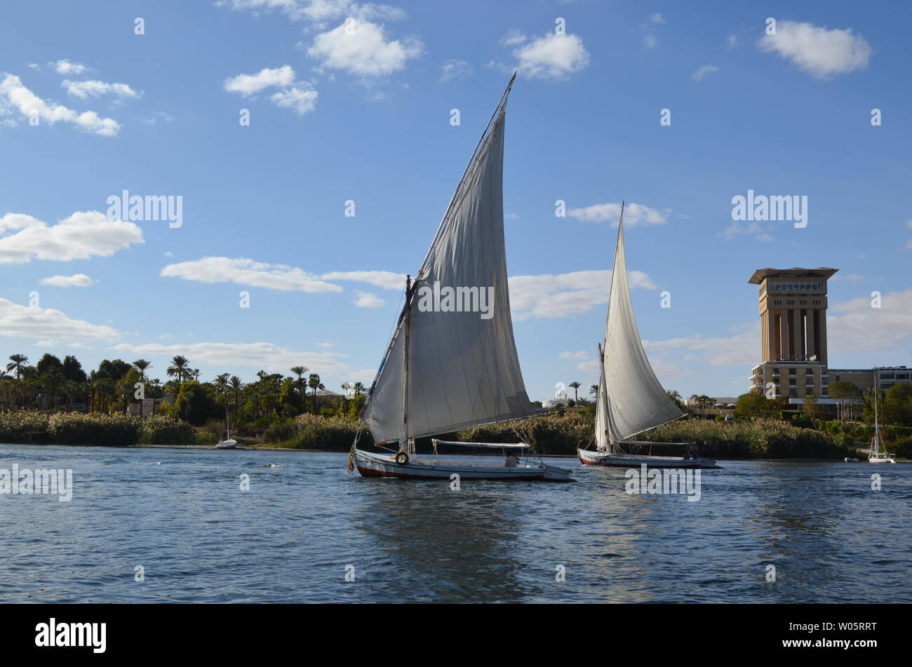 Barche a vela sul fiume Nilo in Egitto Foto Stock