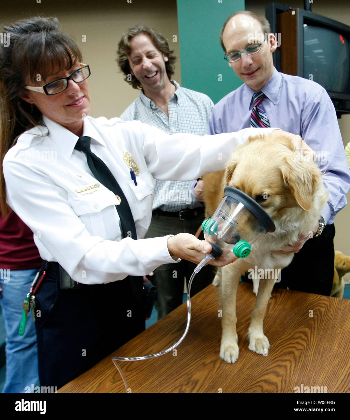 Donna Cox, Direttore medico responsabile della formazione per il San Luigi dei Vigili del Fuoco, dimostra il nuovo animale mascherina di ossigeno a favorire il cane mentre Matt Brazelton (L) e Jeff Jensen guardare a seguito della loro donazione di 36 imposta di pet maschere ad ossigeno per il San Luigi dei Vigili del Fuoco di San Louis il 16 aprile 2008. Jensen e Brazelton, co-proprietari di quattro zampe fangose, un self-service di cane Servizio di lavaggio a St Louis, donato le maschere, sufficiente per ciascuna frontline fire apparecchiatura. Ogni set contiene tre maschere che sono progettati per grandi o piccoli cani, gatti e furetti. (UPI foto/Bill Greenblatt) Foto Stock