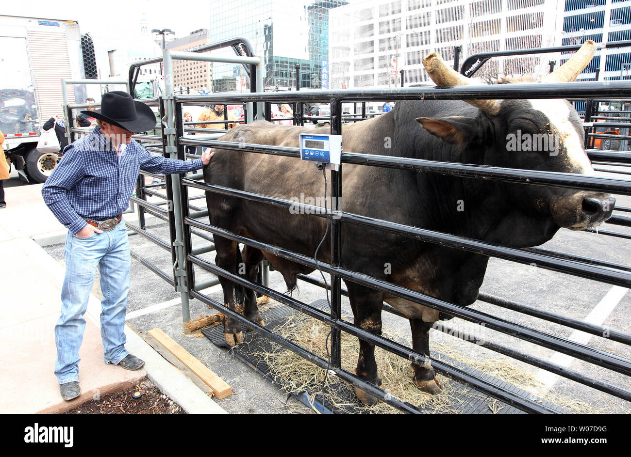 Professional bullrider Reese Cates tenta di spingere il toro pollo su una catena su una scala durante la grande apertura ai festeggiamenti per l'PBR Bar in Ballpark Village di San Luigi il 4 aprile 2014. Il PBR Bar è il settimo uno per aprire nel paese. UPI/Bill Greenblatt Foto Stock