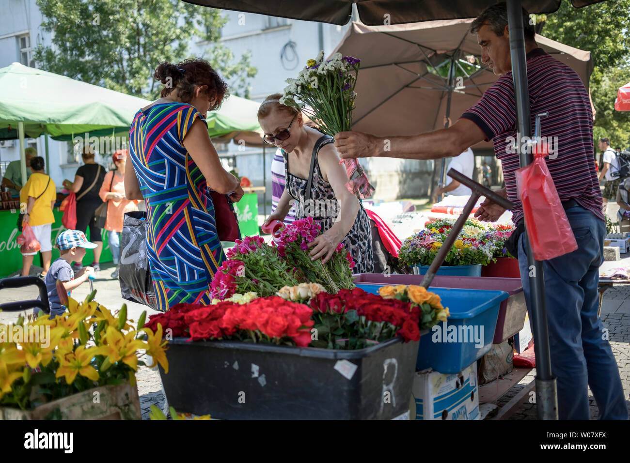 A Belgrado, in Serbia, 22 Giugno 2019: scena urbana con due donne locali acquistare fiori a Zemun Mercato verde Foto Stock