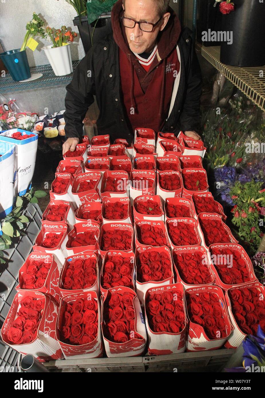 Master fioraio Scott Hepper spinge un carrello di 70 cm Red Rose di libertà per una disposizione area, come gli ordini stanno cominciando ad essere realizzato per il giorno di San Valentino a Walter Knoll fioristi in San Luigi il 9 febbraio 2017. La libertà è salito, che proviene dal Sud America, vende per circa $ 5-10 dollari ed è considerato il miglior rose disponibile negli Stati Uniti. Foto di Bill Greenblatt/UPI Foto Stock