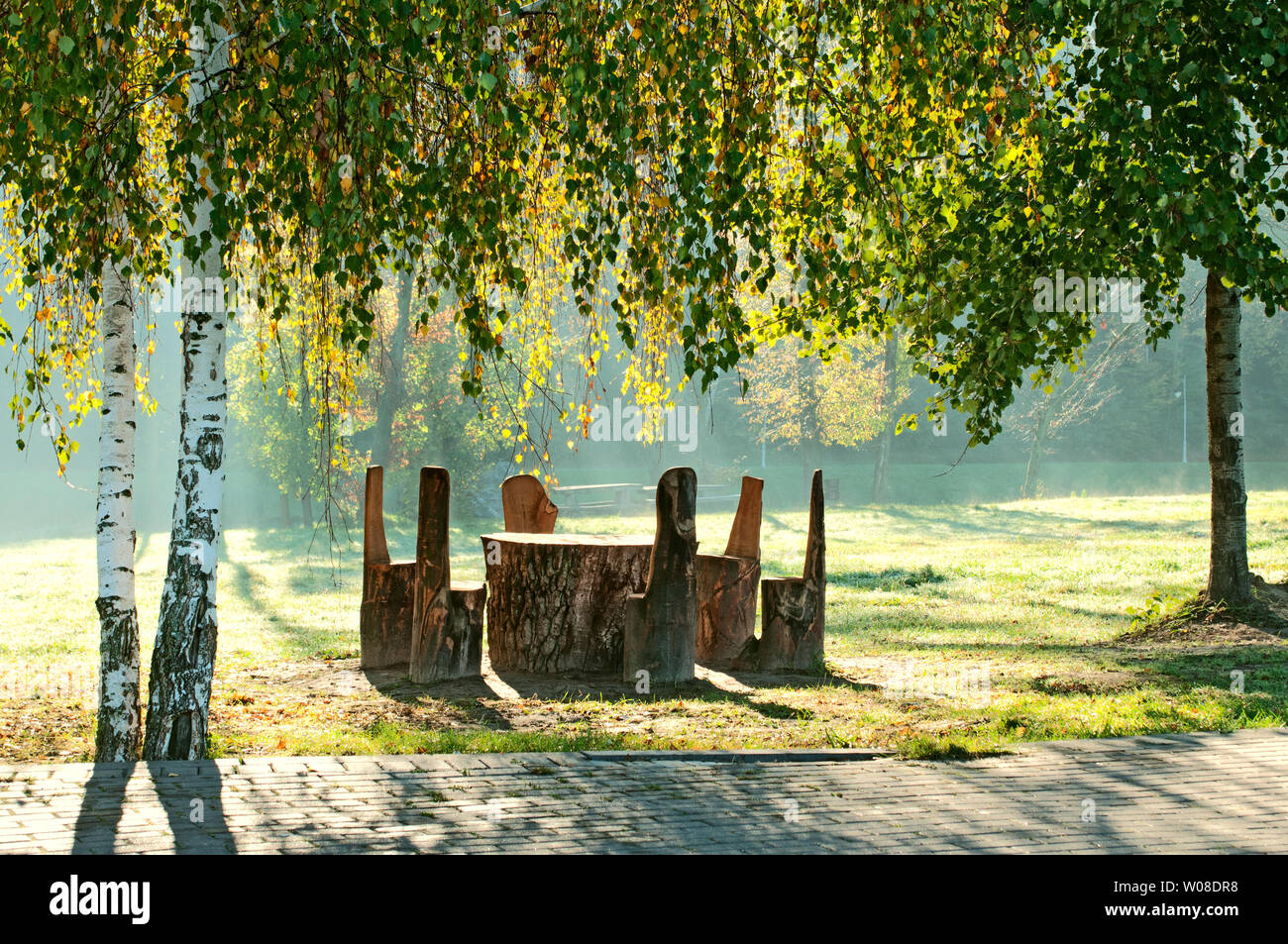 Bellissimo luogo di riposo con tavoli e sedie in legno al mattino soleggiato parco Foto Stock