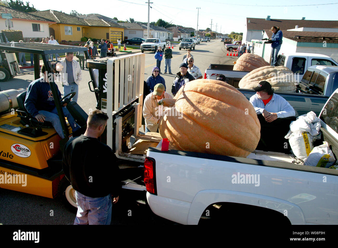 Un carrello elevatore a forche si prepara a sollevare una zucca gigante dal retro di un camioncino per essere pesato nel trentacinquesimo zucca annuale pesare-off in Half Moon Bay, la California il 10 ottobre 2005. I vincitori saranno in mostra presso l'Half Moon Bay Festival di zucca il prossimo fine settimana. (UPI foto/Terry Schmitt) Foto Stock