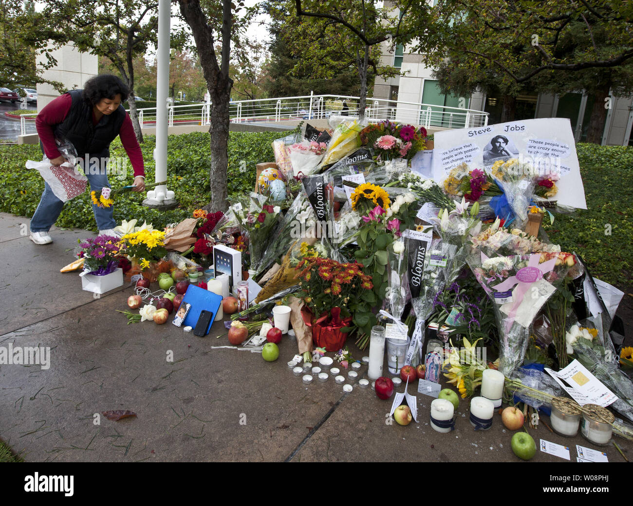 Una donna si aggiunge ai fiori di un crescente santuario a Apple visionario Steve Jobs presso il campus Apple di Cupertino, California il 6 ottobre 2011. I lavori 10/5 morì all'età di 56. UPI/Terry Schmitt Foto Stock