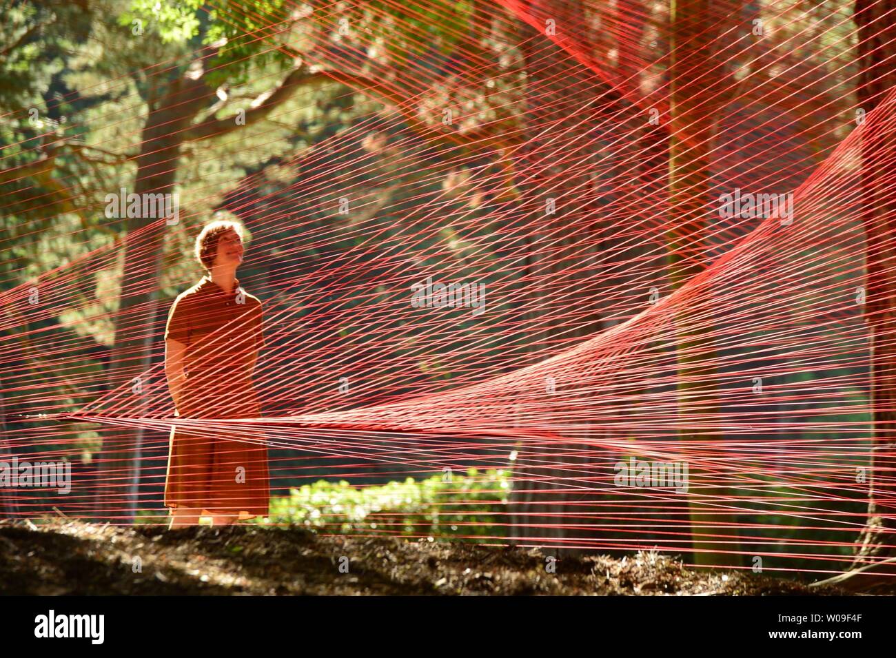 Llanrwst, Wales, Regno Unito. Il 27 giugno, 2019. MIST, una all'aperto arte di installazione da Sébastien Preschoux a Ffin y Parc gallery sulla periferia di Llanrwst nel Galles del nord. Tessuto a partire da 14km di filo arancione sospesi tra gli alberi, il lavoro è il pubblico del Regno Unito premiere per questo artista francese e scoppia in vita nel sole del mattino. Il progetto è stato curato da migrazioni, un'organizzazione dedicata alla messa a terra di arte di rottura per il Galles Photo credit Keith Morris / Alamy Live News Foto Stock