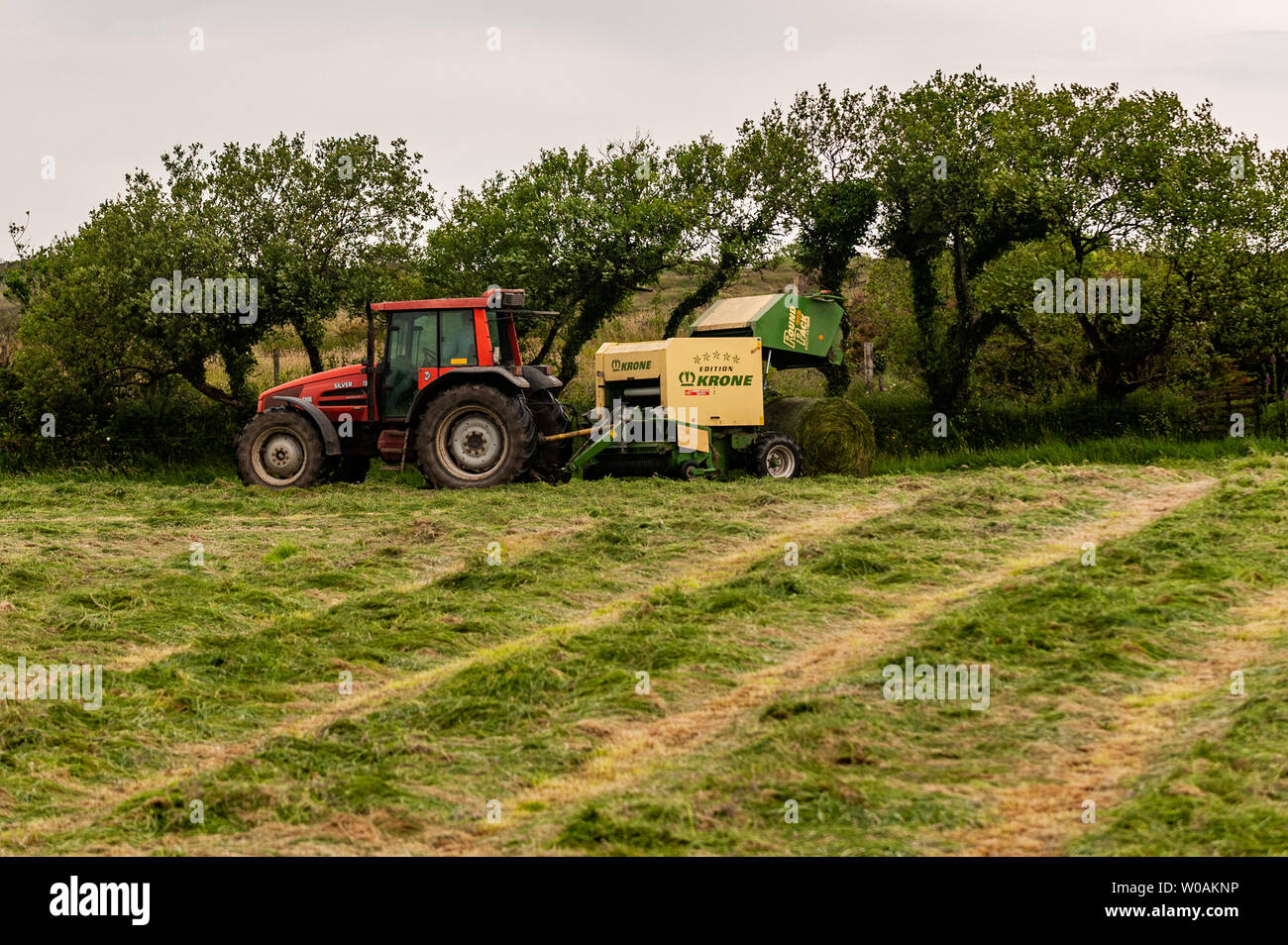 Ballydehob, West Cork, Irlanda. 27 Giugno 2019. L'agricoltore Michael Pat Ward, con sede a Durrus, brucca l'erba per insilato. Le balle saranno utilizzate come mangime invernale per i bovini. Credit: Notizie dal vivo di AG/Alamy. Foto Stock