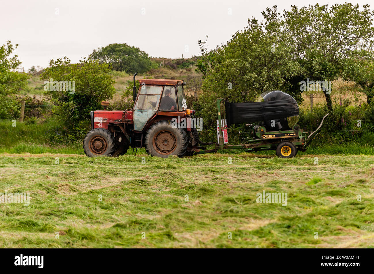 Ballydehob, West Cork, Irlanda. 27 Giugno 2019. L'agricoltore Michael Pat Ward, con sede a Durrus, brucca l'erba per insilato. Le balle saranno utilizzate come mangime invernale per i bovini. Credit: Notizie dal vivo di AG/Alamy. Foto Stock