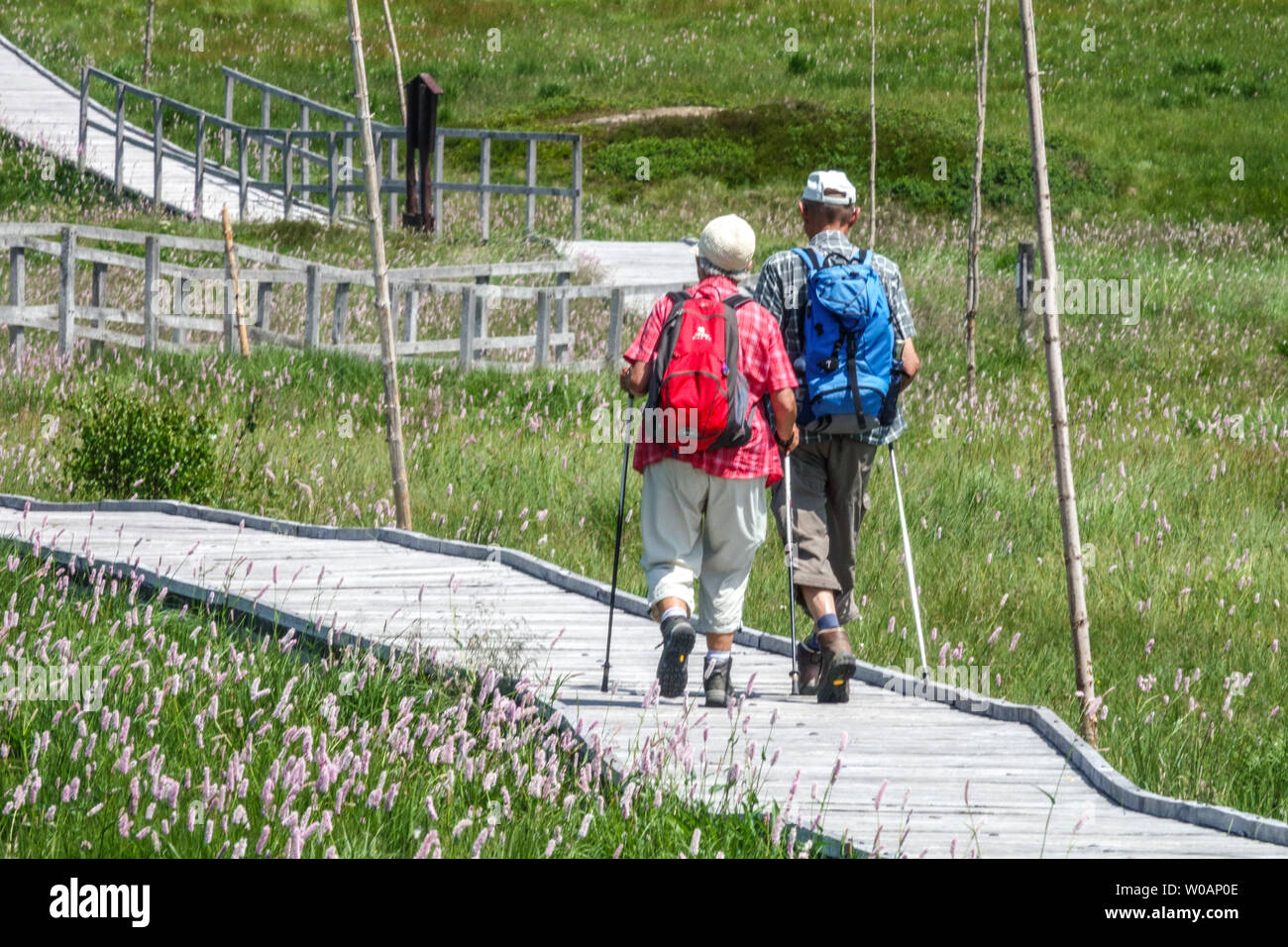 Due escursionisti senior, un sentiero in legno passando attraverso una torbiera, vicino Bozi Dar, Monti Metalliferi, Repubblica Ceca escursione, Europa Foto Stock