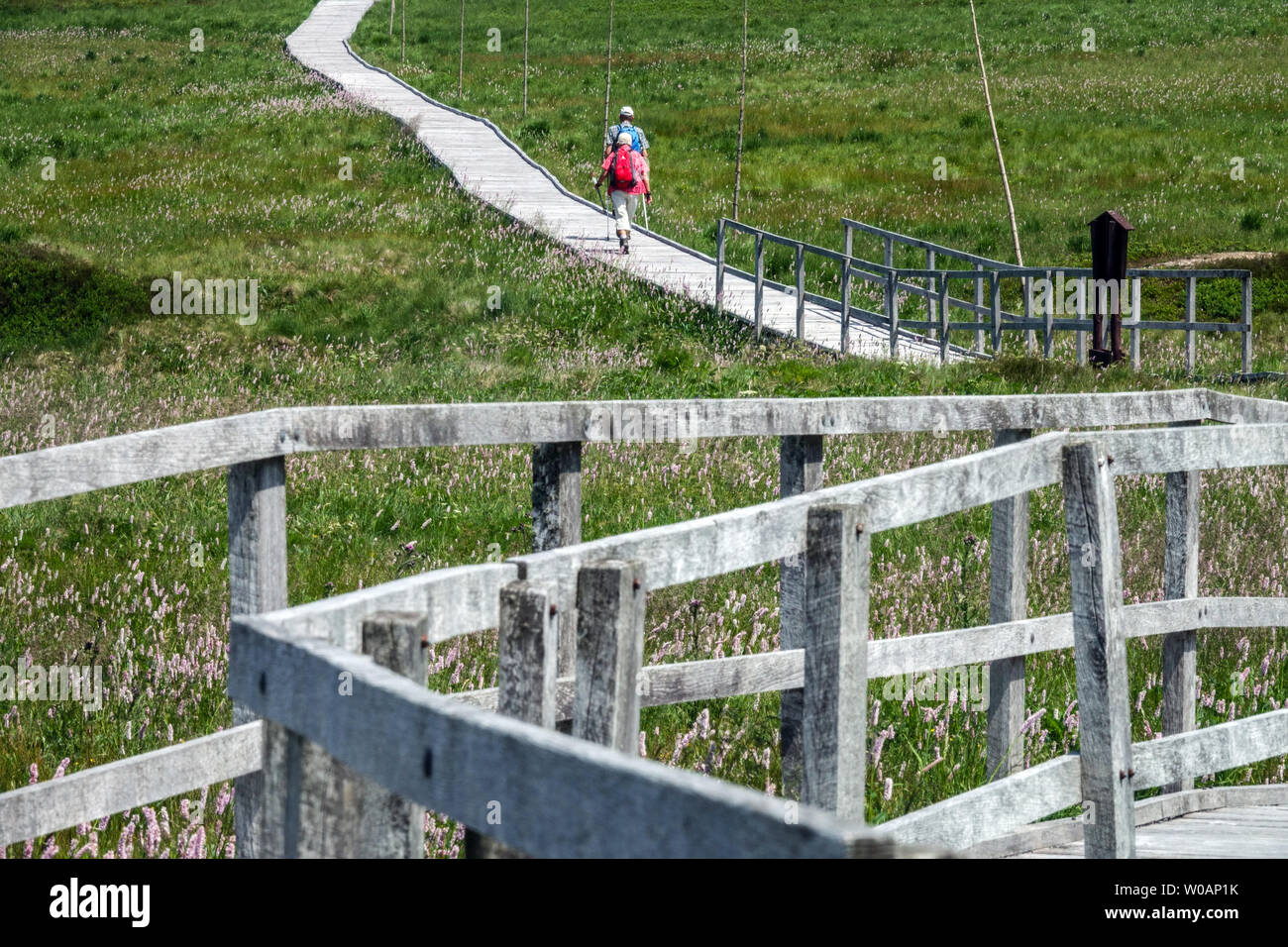 Due escursionisti senior, su un sentiero in legno che passa attraverso una torbiera, vicino a Bozi Dar, ai Monti ore, alla Repubblica Ceca, camminando su un sentiero paesaggistico in legno Foto Stock